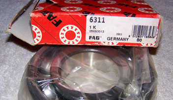 FAG 6311 bearings